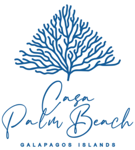 Casa-New-Logo-1-copy